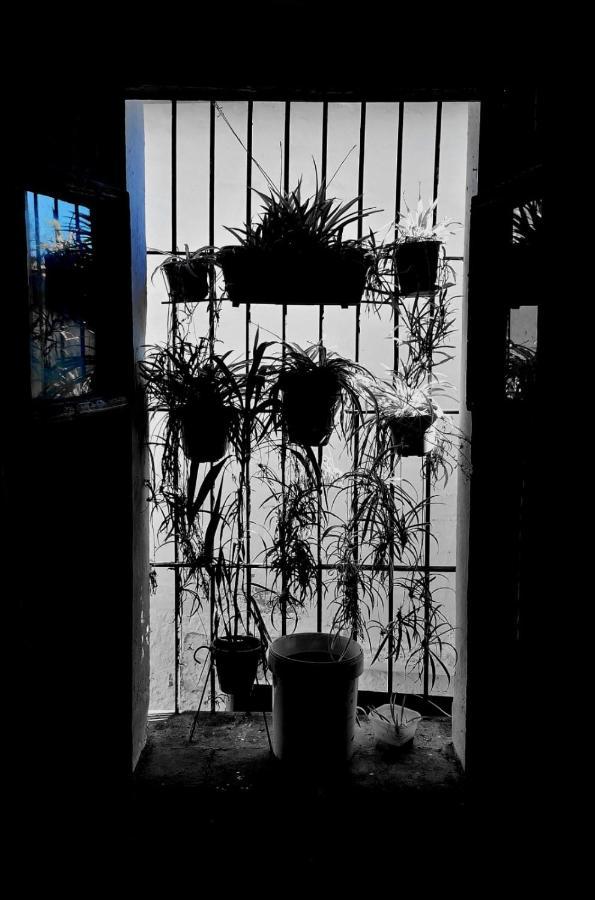 Posada Matadero Cortelazor Εξωτερικό φωτογραφία